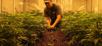 1754998896751.png 1754998896751.png