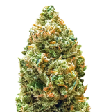 1755162525837.png 1755162525837.png