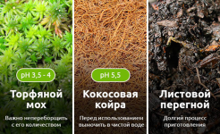 1755162577746.png 1755162577746.png