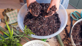 1755162583800.png 1755162583800.png