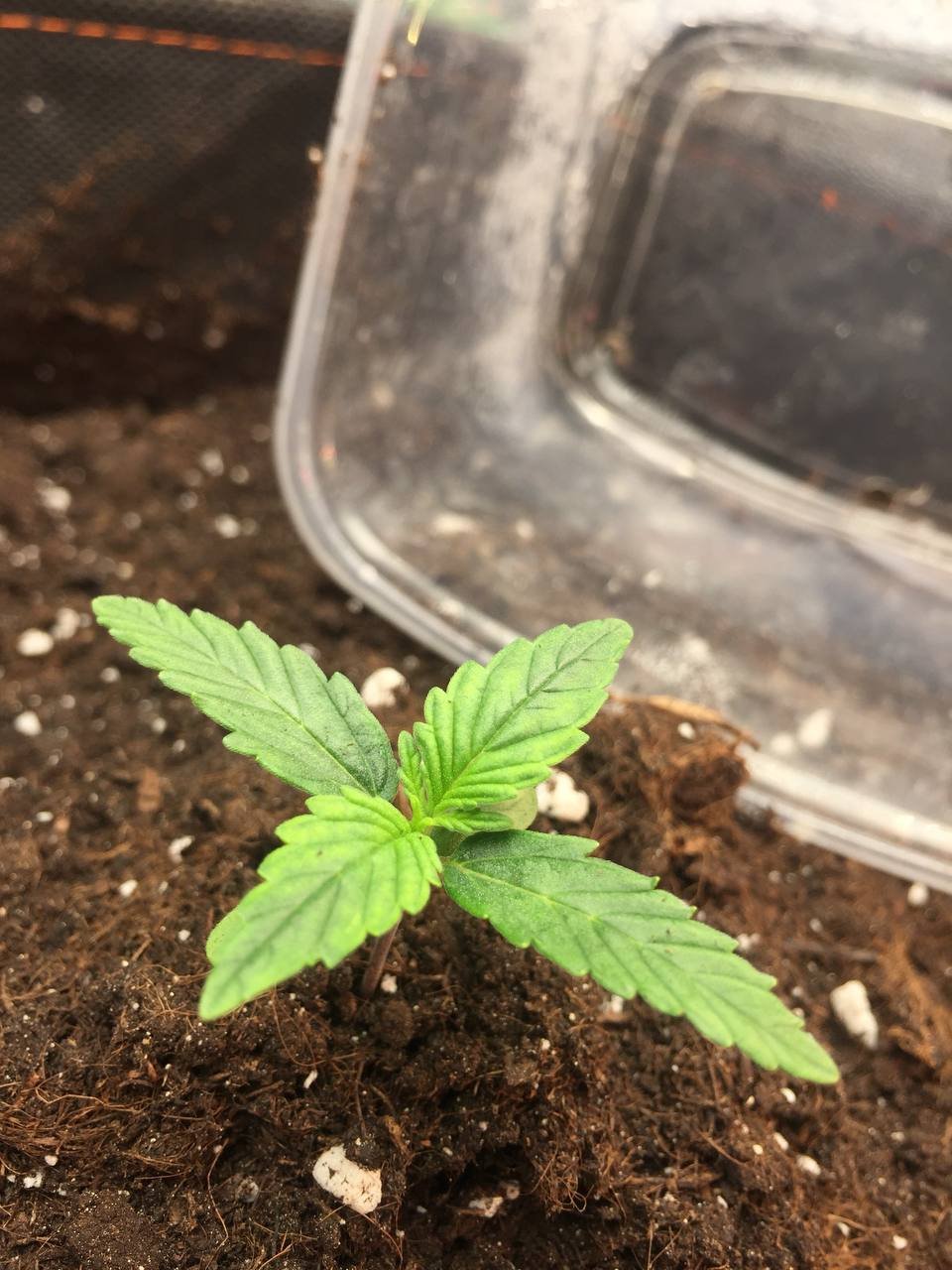 IMG_20220428_182537_666.jpg IMG_20220428_182537_666.jpg