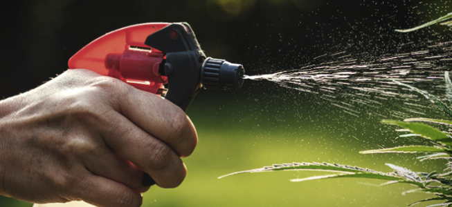 1651265299457.png 1651265299457.png