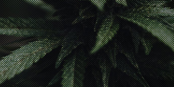 1651265360374.png 1651265360374.png