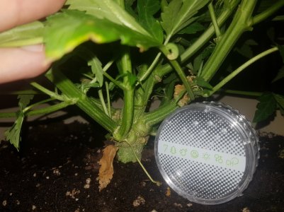 20220501_211108_optimized.jpg 20220501_211108_optimized.jpg