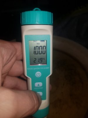 20220501_211331_optimized.jpg 20220501_211331_optimized.jpg