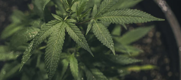 1651513129093.png 1651513129093.png