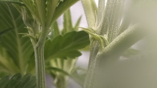 IMG_20220503_101150_813.jpg IMG_20220503_101150_813.jpg