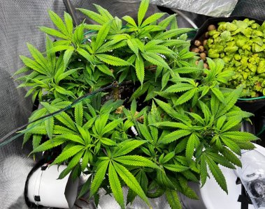 photo_2022-04-07_19-01-24.jpg photo_2022-04-07_19-01-24.jpg