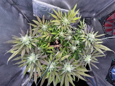 01,05 2.jpg 01,05 2.jpg