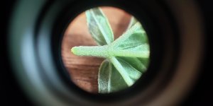 P50819-170321 (1).jpg