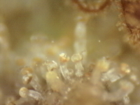 Photo_2025-08-31 07_58_24_906.png