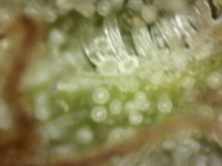 Photo_2025-08-31 08_00_26_597.png