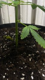 photo_2025-09-03 23.00.01.jpeg photo_2025-09-03 23.00.01.jpeg