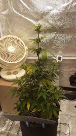 09.04_2.jpg 09.04_2.jpg