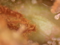 Photo_2025-09-05 06_32_37_613.png