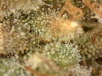 Photo_2025-09-05 06_35_21_849.png