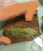 IMG_20250906_091147_198.jpg IMG_20250906_091147_198.jpg