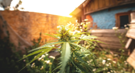 1757339364066.png 1757339364066.png