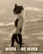 dont-work-no-work.gif