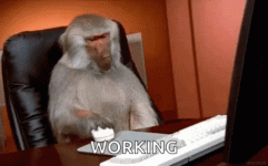monkey-computer-not-working-xuq98ofh79bq3m89.gif monkey-computer-not-working-xuq98ofh79bq3m89.gif