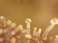 Photo_2025-09-10 06_31_41_722.png