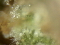 Photo_2025-09-10 06_33_39_580.png