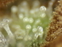 Photo_2025-09-10 06_49_03_749.png