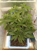 22 дн (2).jpg 22 дн (2).jpg