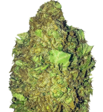 1757934017434.png 1757934017434.png