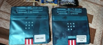 IMG_20250923_103958_193.jpg IMG_20250923_103958_193.jpg