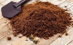 Kak-vyrastit-kannabis-na-torfe__Ha9oZiqUQh7g0DHQ.jpg Kak-vyrastit-kannabis-na-torfe__Ha9oZiqUQh7g0DHQ.jpg