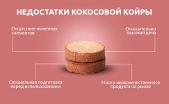 Nedostatki-kokosovoj-kojry__BZNxMXiXXaa5fiiB.jpg Nedostatki-kokosovoj-kojry__BZNxMXiXXaa5fiiB.jpg