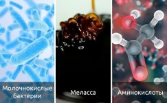 dobavki__RmqjT0dD0L3j708Q.jpg dobavki__RmqjT0dD0L3j708Q.jpg