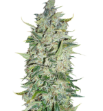 1758630140426.png 1758630140426.png