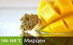 mircen__7zmOlXnAf7X7Cff4.jpg mircen__7zmOlXnAf7X7Cff4.jpg