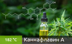 kannaflavin-a__mTbuvt29Q98SOHYr.jpg kannaflavin-a__mTbuvt29Q98SOHYr.jpg