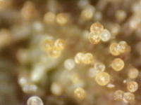 .trashed-1761189900-Photo_2025-09-20 17_17_15_657.png