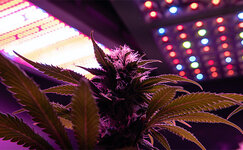 svet-i-ehlektromagnitnyj-spektr__sEKfS1h6ztU089sb.jpg svet-i-ehlektromagnitnyj-spektr__sEKfS1h6ztU089sb.jpg