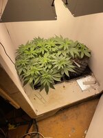 IMG_0640.jpeg IMG_0640.jpeg