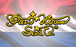 GHS__7vxKOFaUs7QzH82f.jpg GHS__7vxKOFaUs7QzH82f.jpg