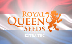 rqs__Hbf3MQ3A5kiHFdNw.jpg rqs__Hbf3MQ3A5kiHFdNw.jpg