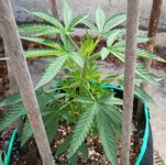 2345234234.jpg 2345234234.jpg