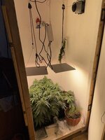 IMG_0726.jpeg IMG_0726.jpeg