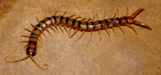 1759494749609.png 1759494749609.png