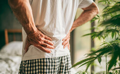 backpain.jpg backpain.jpg