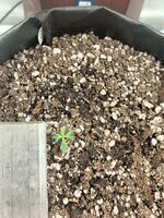 IMG20250730211318.jpg IMG20250730211318.jpg