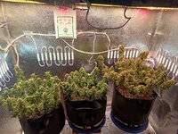 IMG20250927162422.jpg IMG20250927162422.jpg