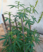 2222222222222222222222222222222.jpg 2222222222222222222222222222222.jpg