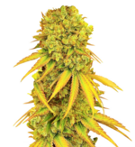 1760274093672.png 1760274093672.png