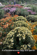 IMG_0876.jpeg IMG_0876.jpeg